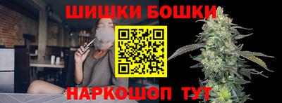 spice Моздок