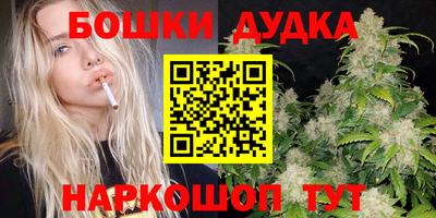 spice Моздок