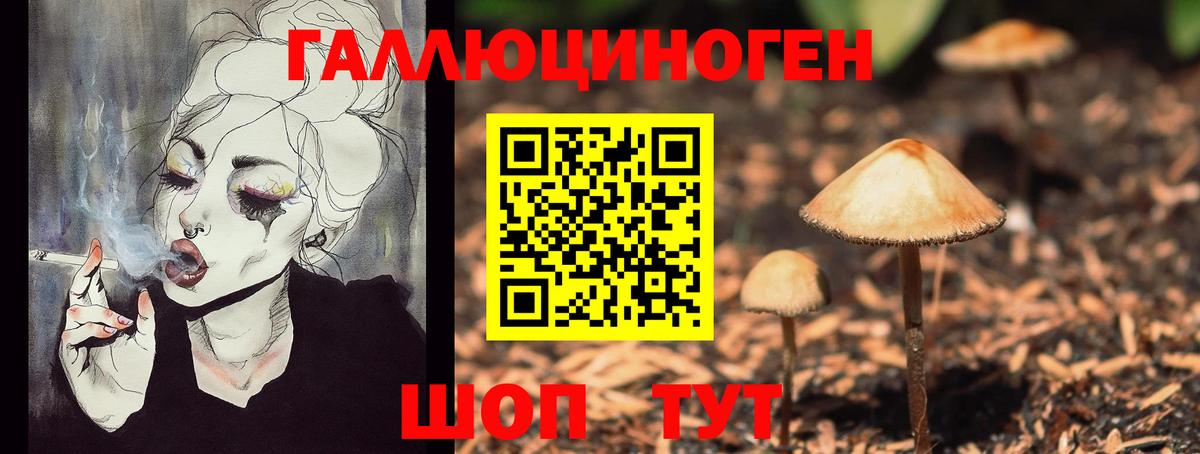 Галлюциногенные грибы мухоморы  Вход с VPN  Галлюциногенные грибы MAGIC MUSHROOMS  закладка  Выкса 